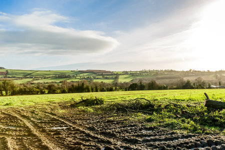 Beautiful irish landscape and wheel track on mudの写真素材
