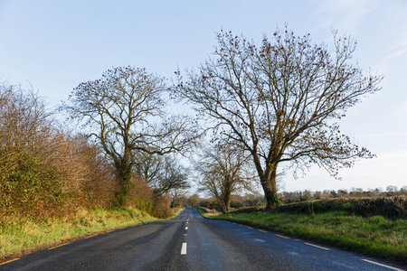 Landscape photo and the road to homeの写真素材