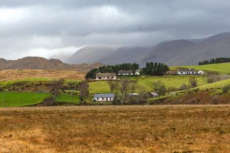 Photo of irish countryside landscape in winterの写真素材