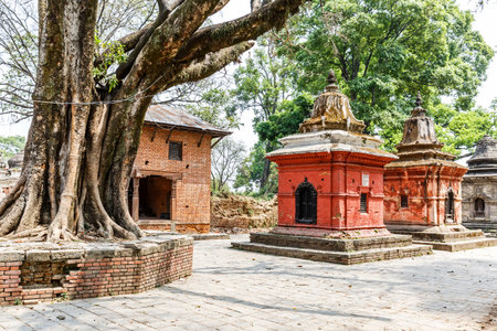 Pashupatinath hindu temples one of the most sacred place in Kathmanduの写真素材