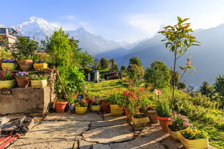 Amazing morning view in the Annapurna mountainsの写真素材