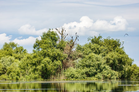 Beautiful landscape photo of Danube Delta in Romaniaの写真素材