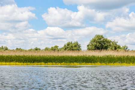 Landscape photo of Danube Delta in Romaniaの写真素材