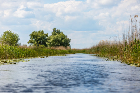 Beautiful landscape photo of Danube Delta in Romaniaの写真素材
