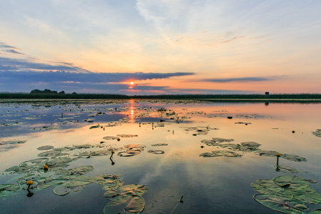 Landscape photo of beautiful sunset in Danube Deltaの写真素材