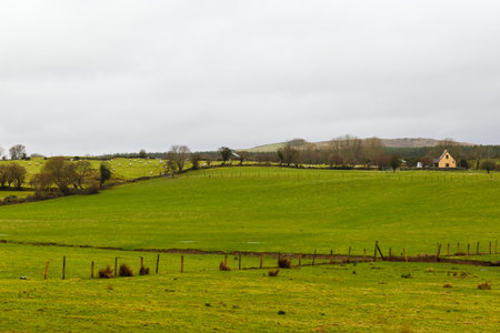 Photo of beautiful countryside landscape in Irelandの写真素材