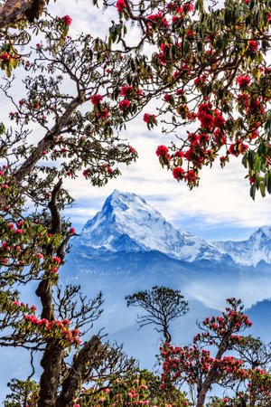 Beautiful landscape photo of mountains from Poon hill in Nepalの写真素材