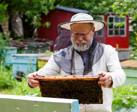 Handsome beekeeper in protective uniform checking the beehive in the garden