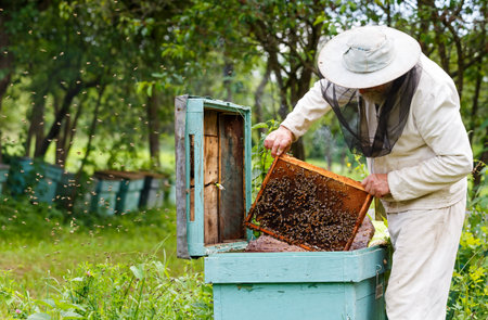 Handsome beekeeper in protective uniform checking the beehive in the garden