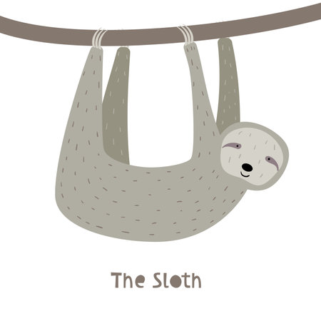 Sloth Character. An Animal in Cute Trendy Modern Cartoon Childish Style. Perfect for Print, Web, App or Any Digital Design Manipulation.のイラスト素材