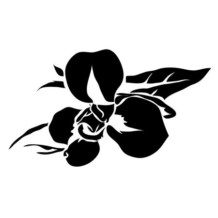 Line flower iris vector image. Can be use for  and tattooのイラスト素材