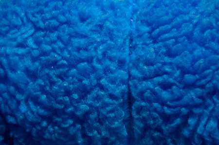 Texture wallpaper of a blue teddy bear - close upの写真素材