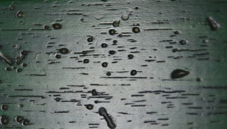 Texture wallpaper of a green photo frame - close upの写真素材