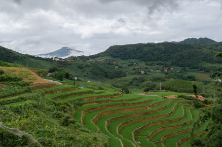 Cloudy landscape in Sapa, vietnamの写真素材