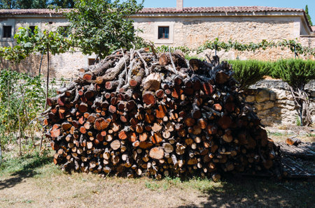 Set of stacked cut logs in Caleruega, Burgos, Castilla y LeÃ³n, Spain.の写真素材