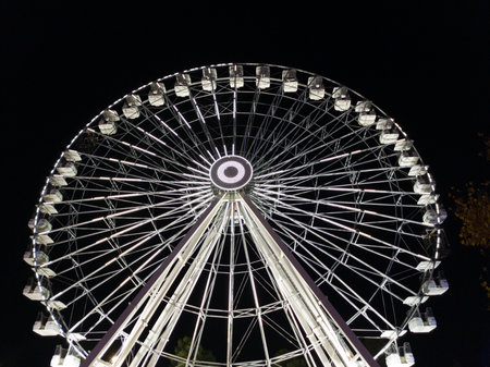 photograph from below of a white-lit Ferris wheel at night with a black, natural black and whiteの写真素材