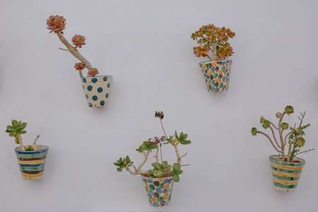Whitewashed wall with pots of colorful flowers and plants on the facade of the house.の写真素材