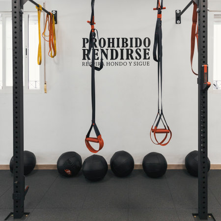 Gym wall with the message "No Surrender", TRX structure and medicine balls.の写真素材