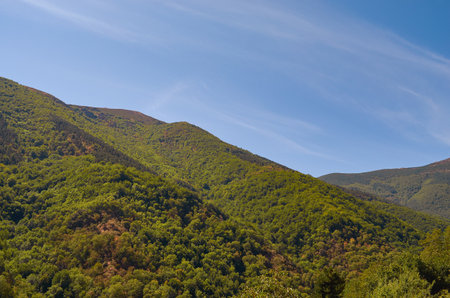 Landscape of mountains full of vegetation with blue skiesの写真素材
