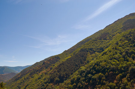 Landscape of mountains full of vegetation with blue skiesの写真素材