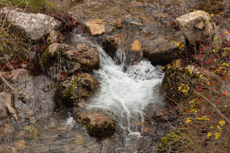 Flowing river, a serene dance amid nature's picturesque canvasの写真素材