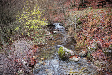 A picturesque river flows through Faedo de CiÃ±era, its banks adorned with fallen brown leaves, painting a serene autumn sceneの写真素材
