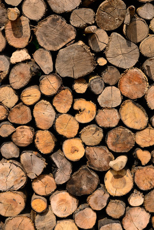 Firewood pile