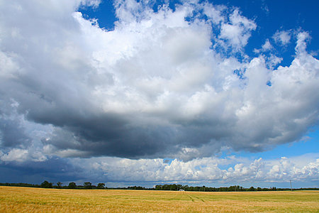Green field and sky blueの写真素材