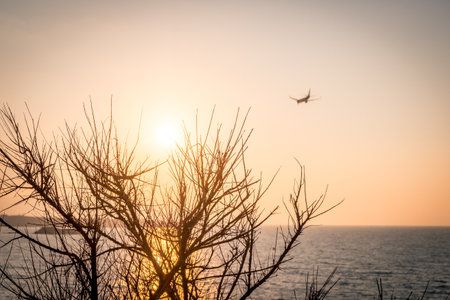 Airplane is landing during sunrise.の写真素材