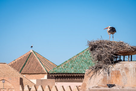 Stork's nest on the roof of a house in Marrakeshの写真素材