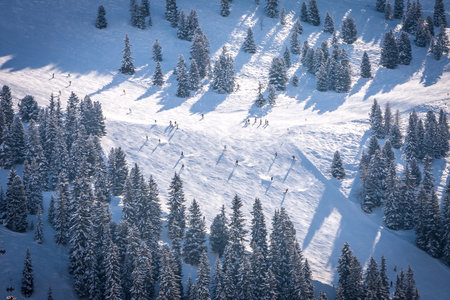 Forest with skiers in Zillertal Arena ski resort. Tyrol Mayrhofen in Austria in winter Alps