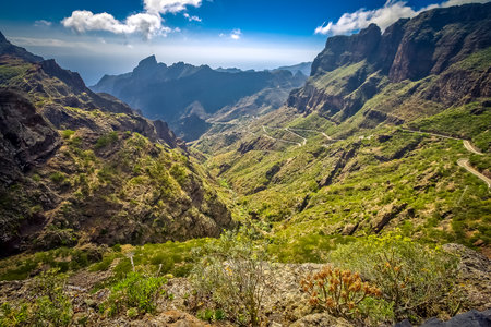 Masca canyon, Tenerife, Canary islands, Spainの写真素材