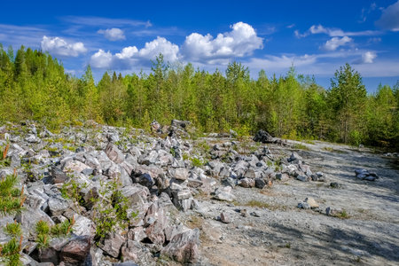Marble rock with cracks. On the marble white and gray stains. The forest around. Ruskeala, Karelia.の写真素材