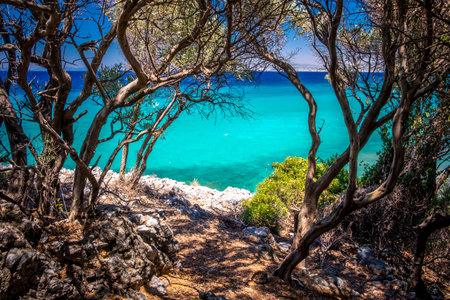 Milli Park, Dilek National Park, Kusadasi, Turkeyの写真素材