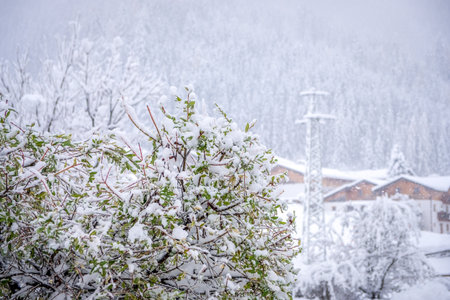 Winter landscape in the town of Neustift in the Stubai Valley in Austria. Snowy trees after heavy snowfallの写真素材
