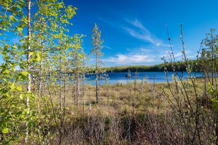 Russian northern landscape. Kola Peninsula, the Arctic. Murmansk regionの写真素材