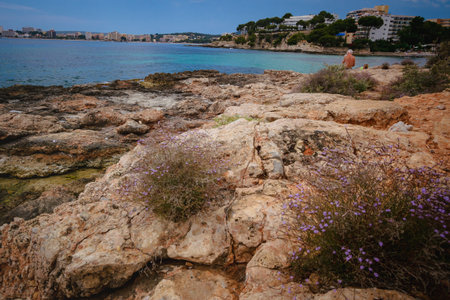 Sea rocky coastline of Punta Negra, southwestern corner of Majorca, Son Caliu, Balearic Islands, Palma de Mallorca, Spainの写真素材
