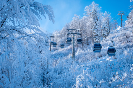 Winter Mountain landscape at the Rosa Khutor ski resort in Sochi, Russia. Cable car cabin over pine trees in the snowの写真素材
