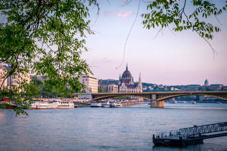 View on Margaret bridge from a park on Margaret Island.のeditorial素材