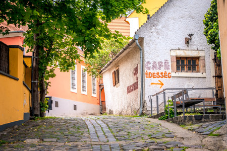 SZENTENDRE, HUNGARY: APRIL 30, 2019: Paved street at the centre of Szentendreのeditorial素材