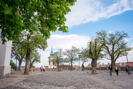 SZENTENDRE, HUNGARY: APRIL 30, 2019: Paved street at the centre of Szentendreのeditorial素材