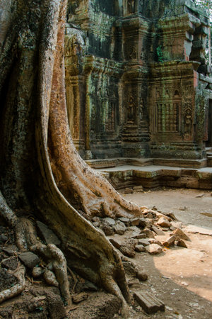 SIEMREAP, CAMBODIA - MARCH 13 2013: Ruins of Angkor Wat, part of Khmer temple complex. Angkor Parkのeditorial素材