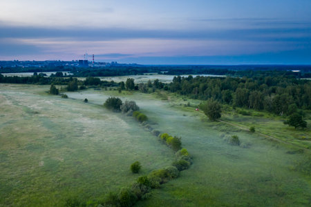 Early morning landscape. Foggy field. Valley in the morning fog at sunrise. View from above.の写真素材