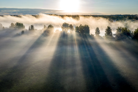 Early morning landscape. Foggy river. River valley in the morning fog at sunrise. View from above. Rays of the sun breaking through the fog in over the treesの写真素材