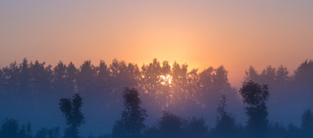 Orange sun rising behind the trees, a meadow covered with dense fog. The golden hour, misty morning. Beautiful misty sunrise landscape. Foggy morning with trees through the dense fog.の写真素材