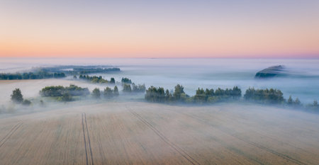 Morning fog in the meadows during sunrise in the countryside, aerial view height of the landscape on the horizon, a trees in the fog.の写真素材