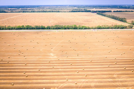 top view of hay bales, agriculture field after harvest with hay rollsの写真素材