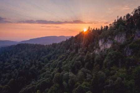 Sunset over the coniferous forest. Lagonaki plateau, Caucasus, Russia