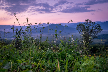 Early morning one hour before dawn. Silhouettes of mountains in the morning haze, grass and trees in the foreground. Lagonaki Plateau, Republic of Adygea, Russiaの写真素材