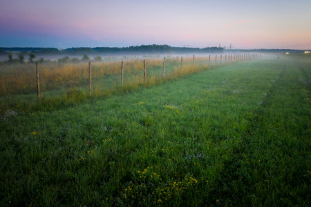 Morning fog in the meadows during sunrise in the countryside. Rural landscape with a fog on the geen field.の写真素材